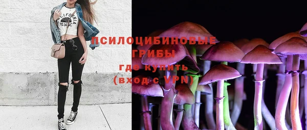 spice Алзамай
