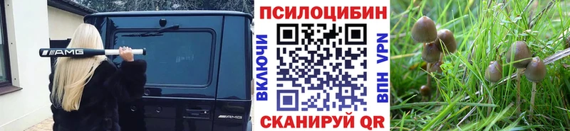 Псилоцибиновые грибы MAGIC MUSHROOMS  купить   Спас-Деменск 